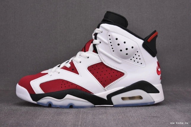 Rep Onekick 'CARMINE' 2021 RETRO 6 AIR JORDAN CT8529-106 0821